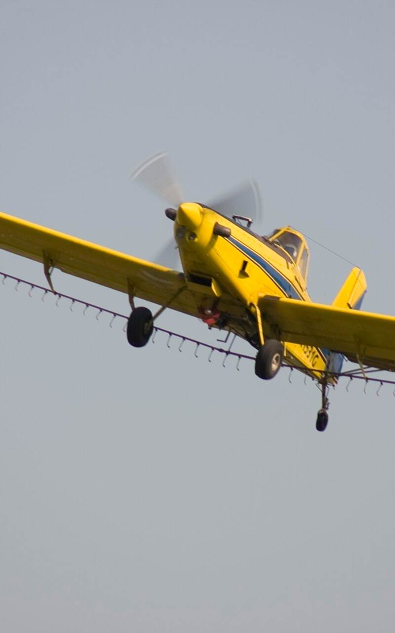 N1531G - Single-engine aircraft
