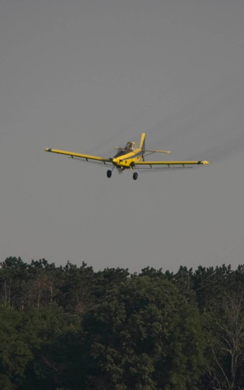 N1531G - Single-engine aircraft