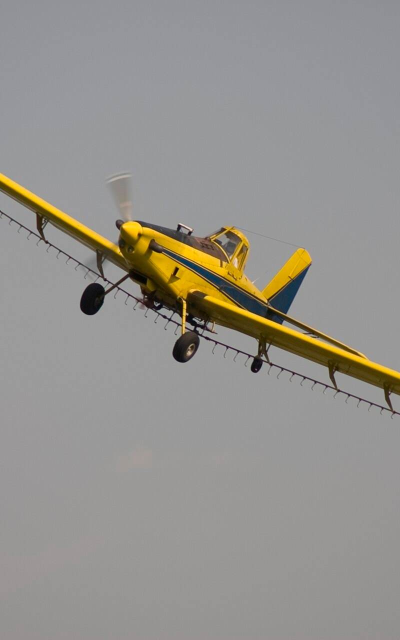 N1531G - Single-engine aircraft