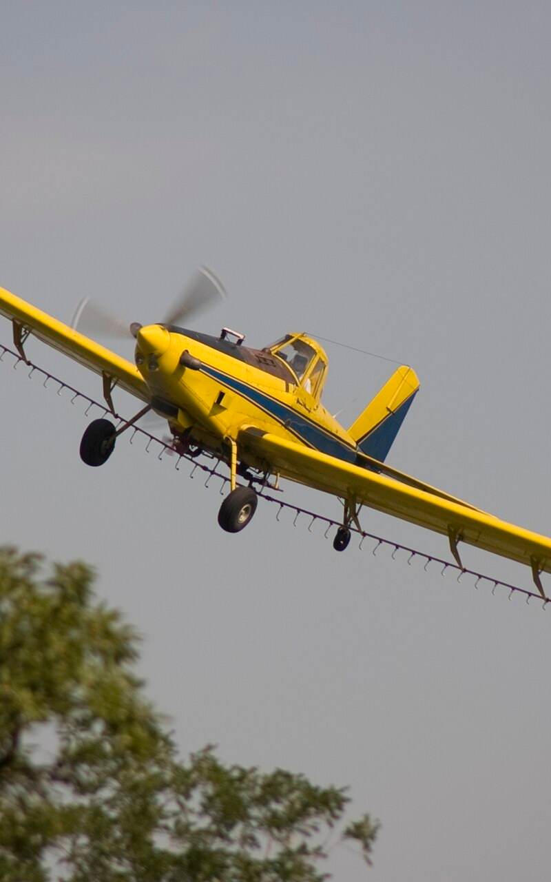 N1531G - Single-engine aircraft