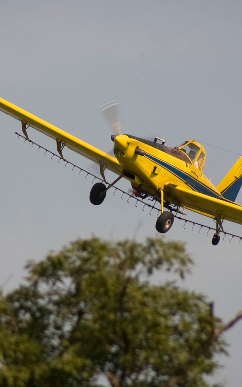 N1531G - Single-engine aircraft
