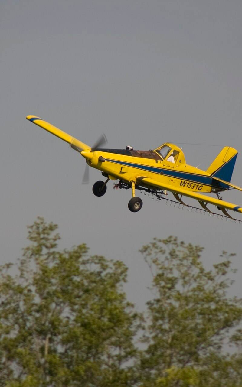 N1531G - Single-engine aircraft
