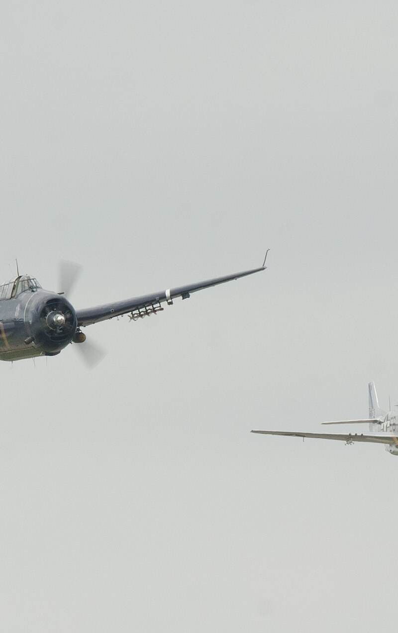 N1751D - Warbird