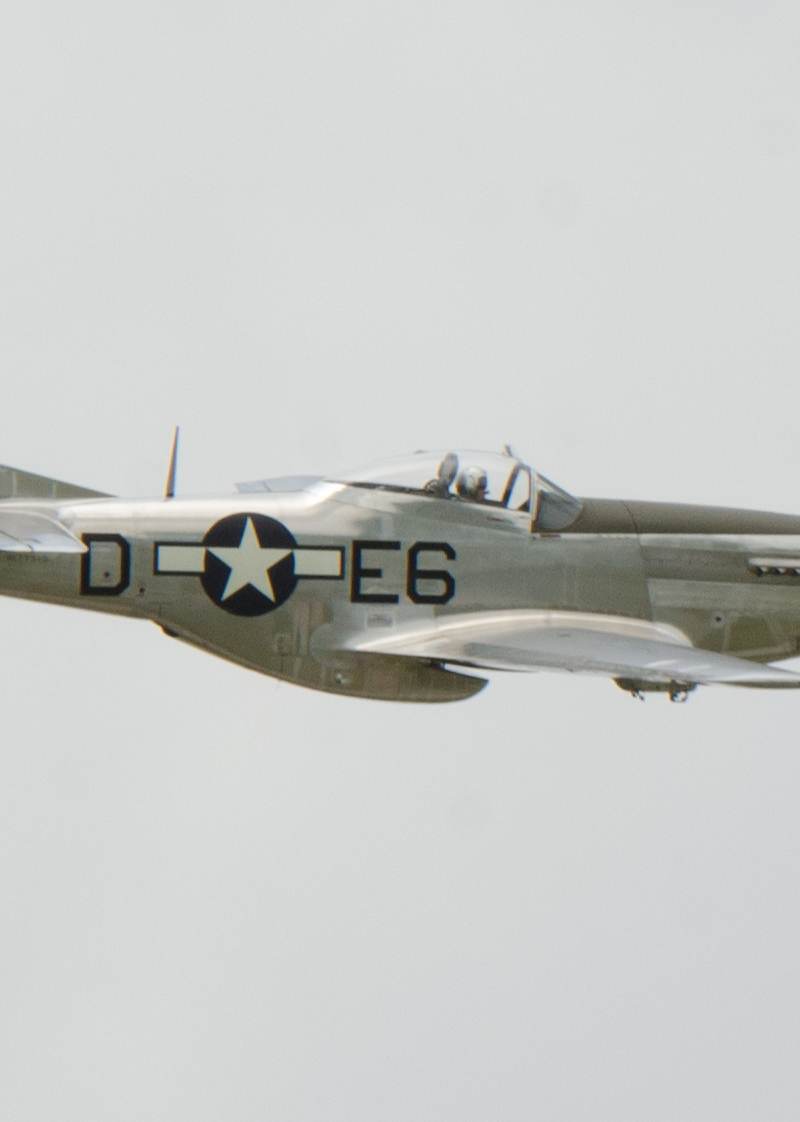 N1751D - Warbird