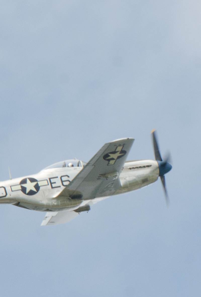 N1751D - Warbird