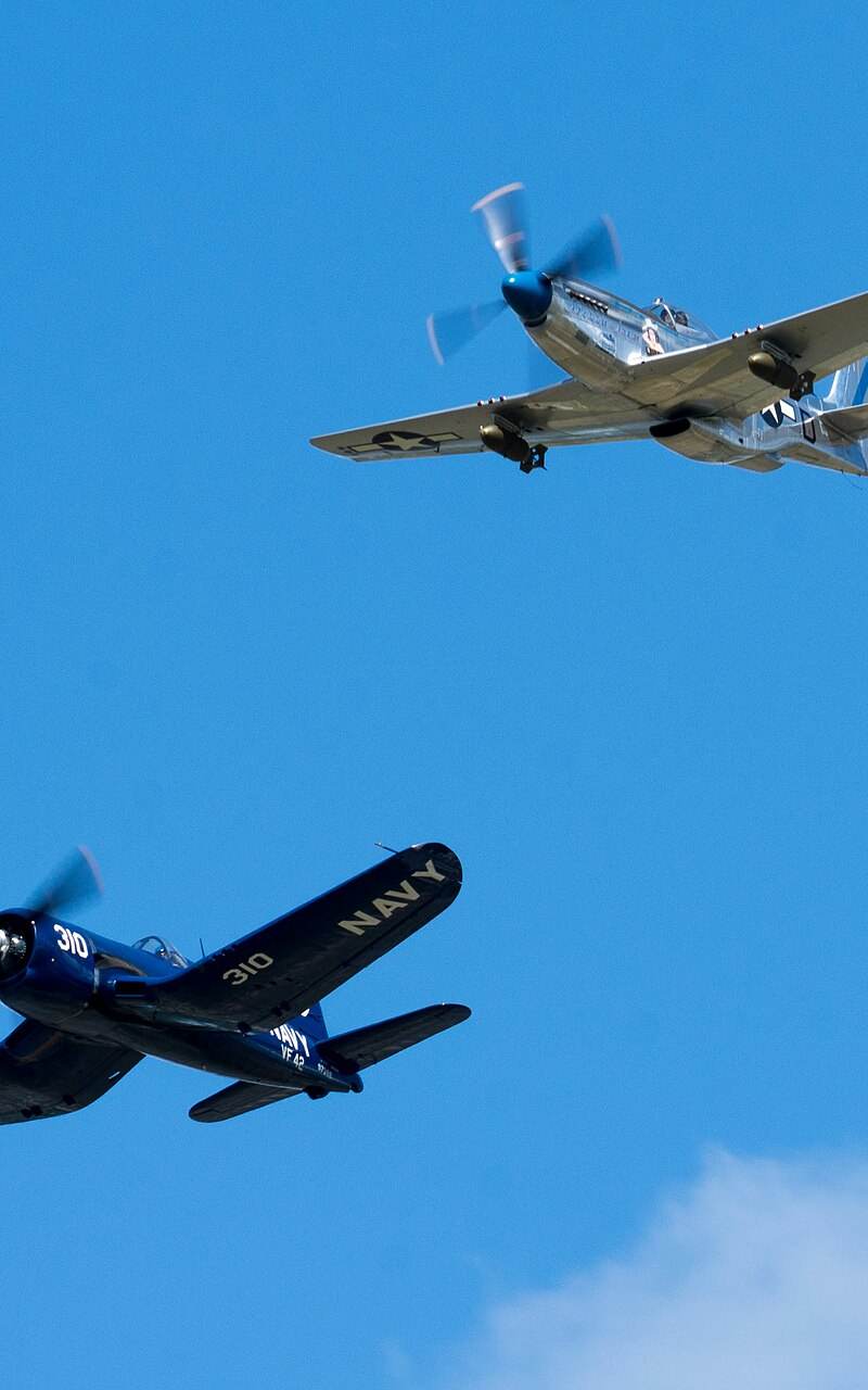 N1751D - Warbird