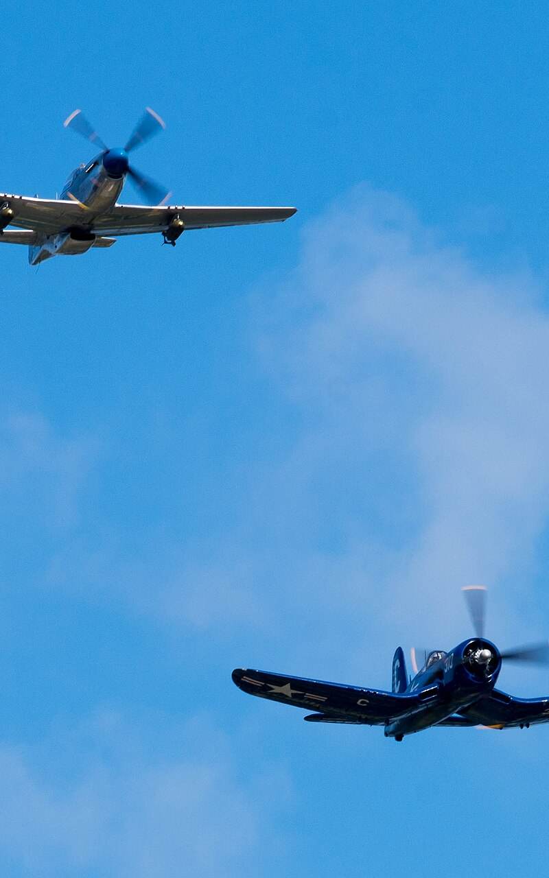 N1751D - Warbird