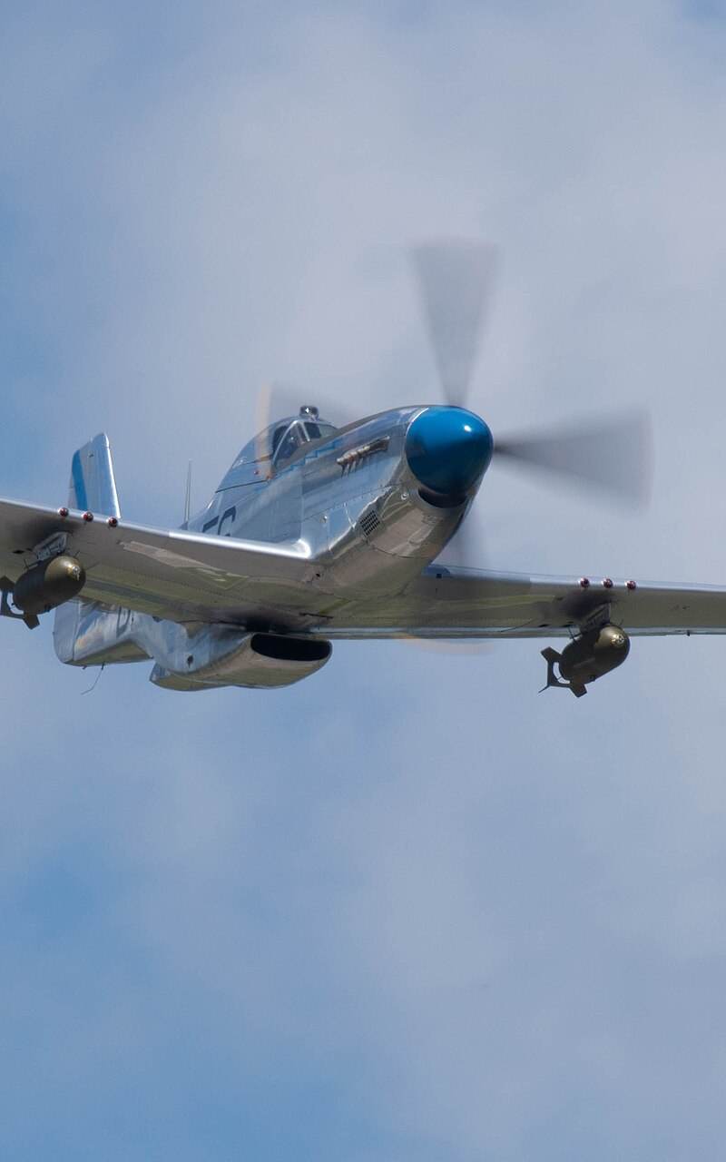 N1751D - Warbird