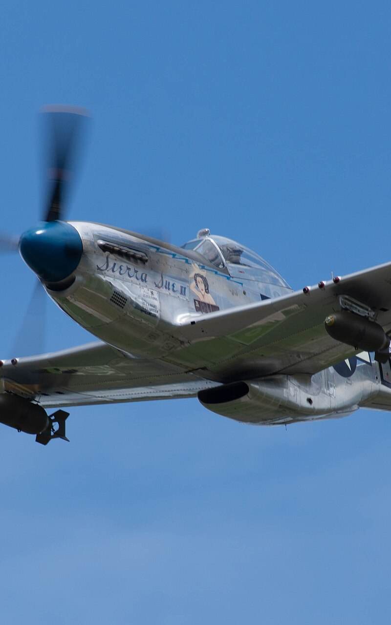 N1751D - Warbird