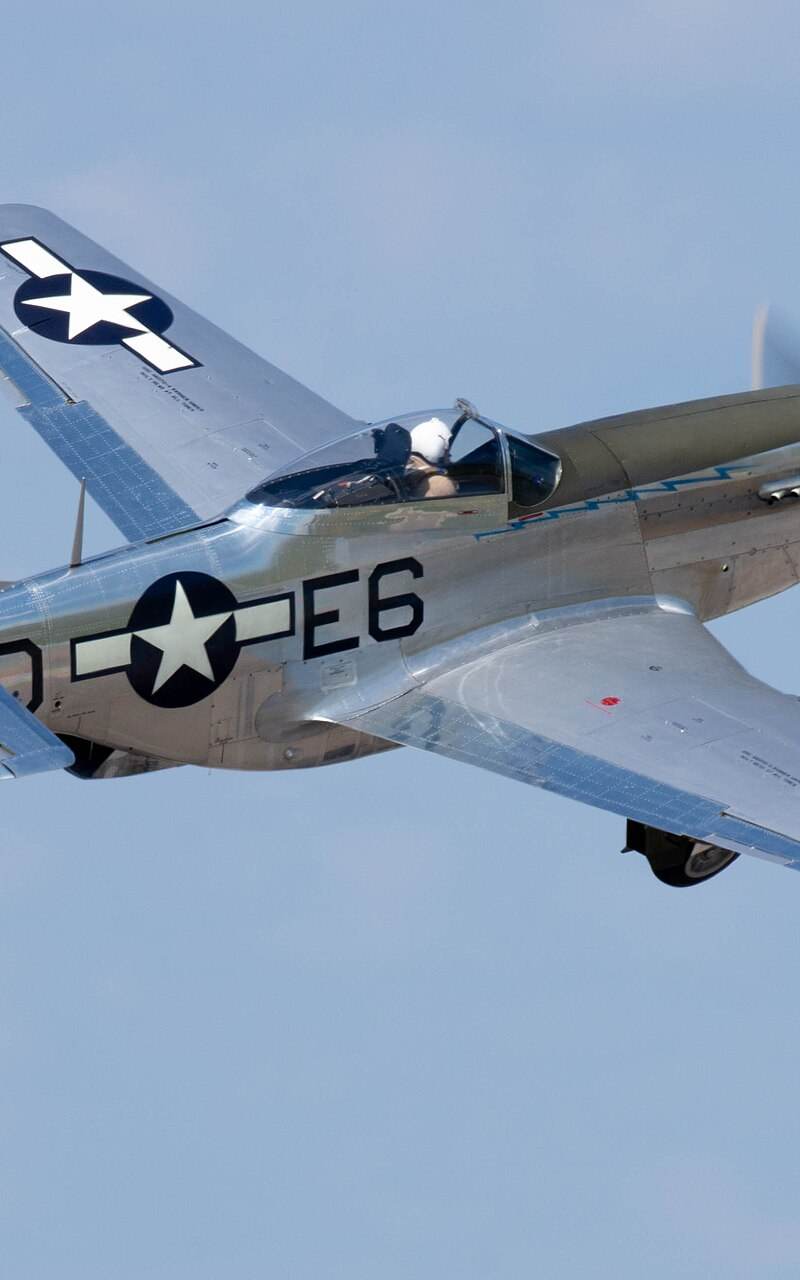 N1751D - Warbird