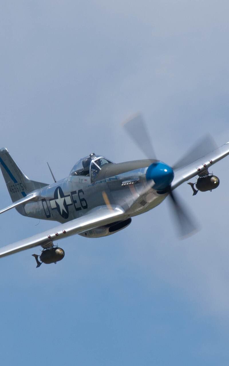 N1751D - Warbird