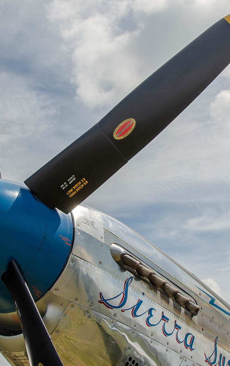 N1751D - Warbird