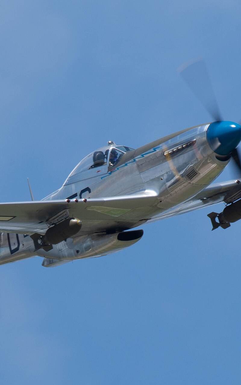 N1751D - Warbird