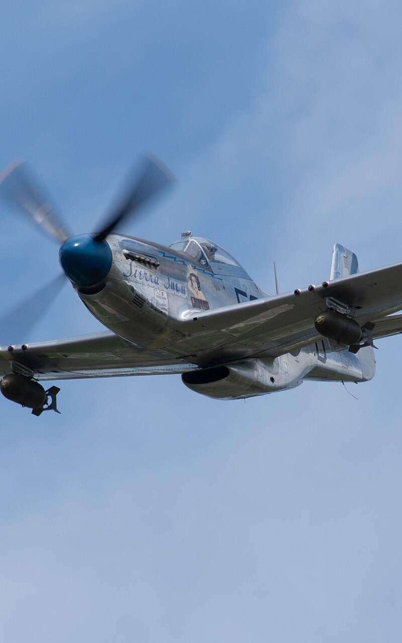 N1751D - Warbird