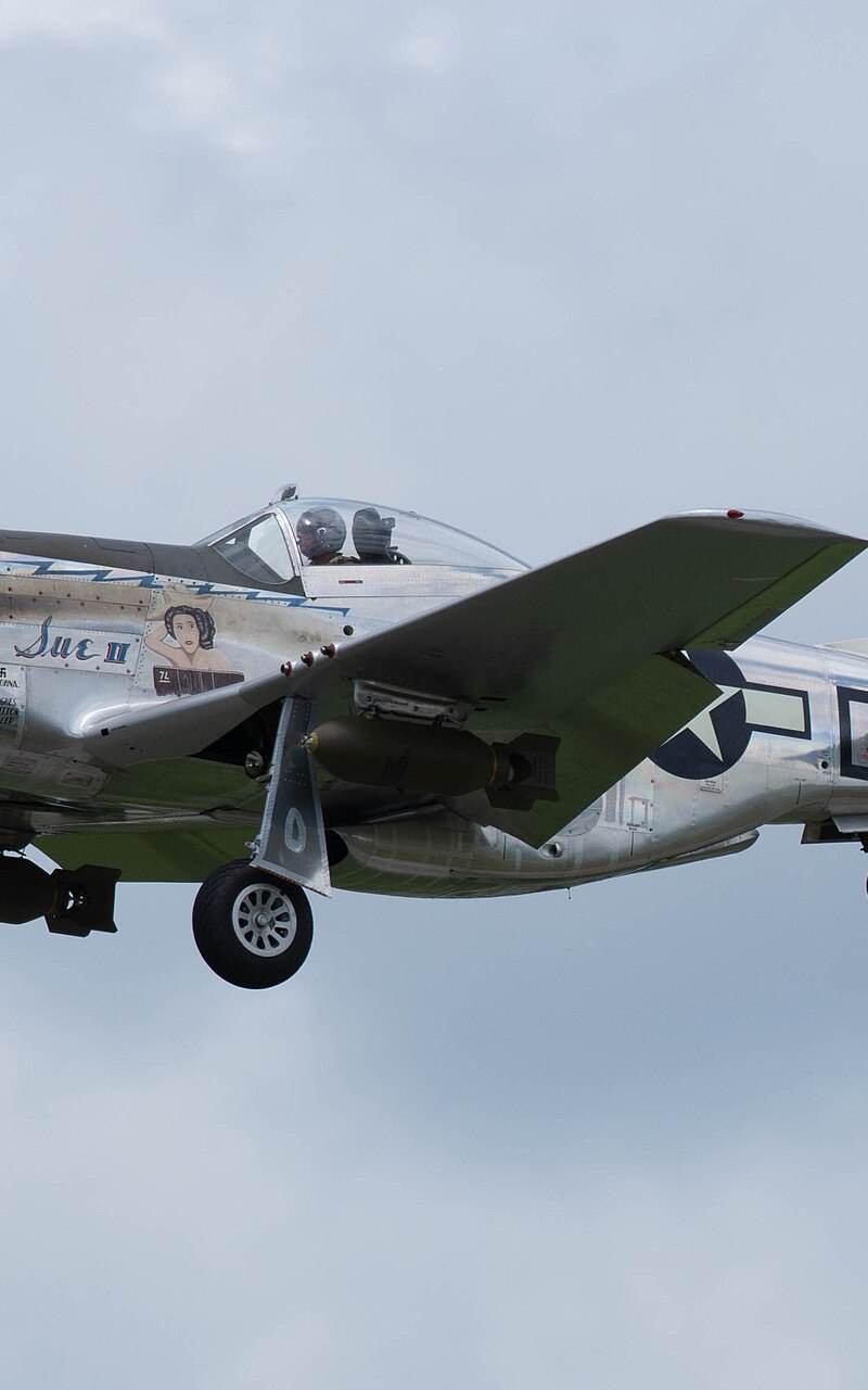 N1751D - Warbird