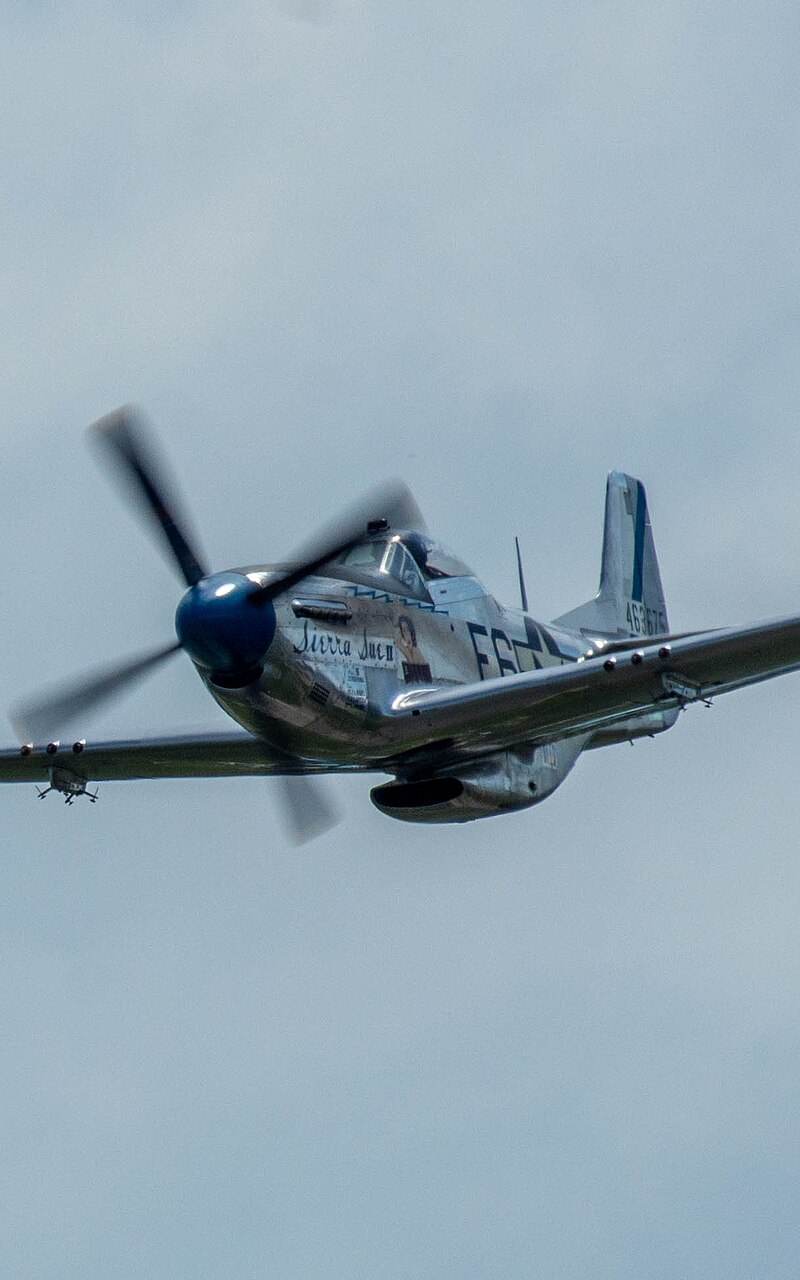 N1751D - Warbird