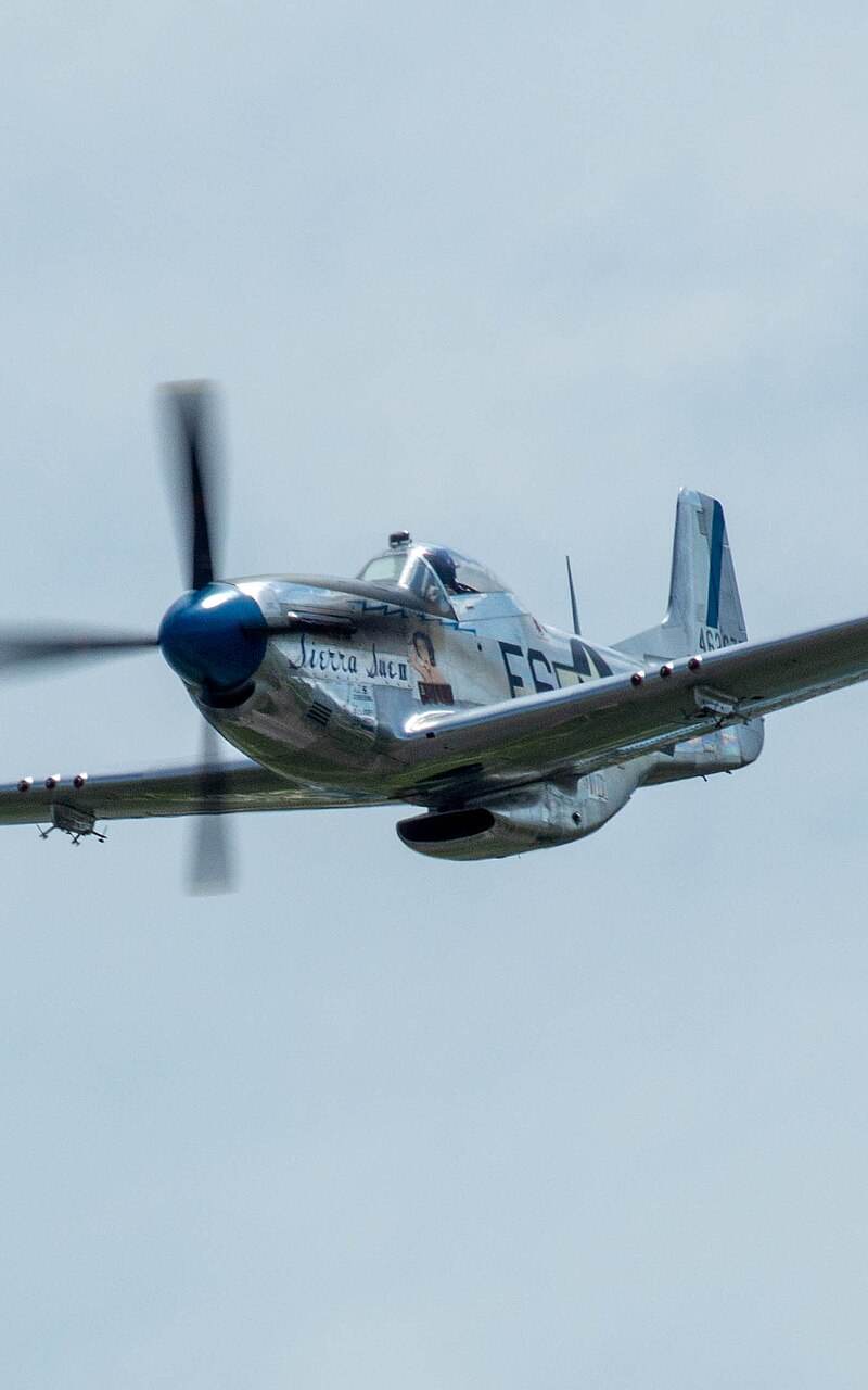 N1751D - Warbird