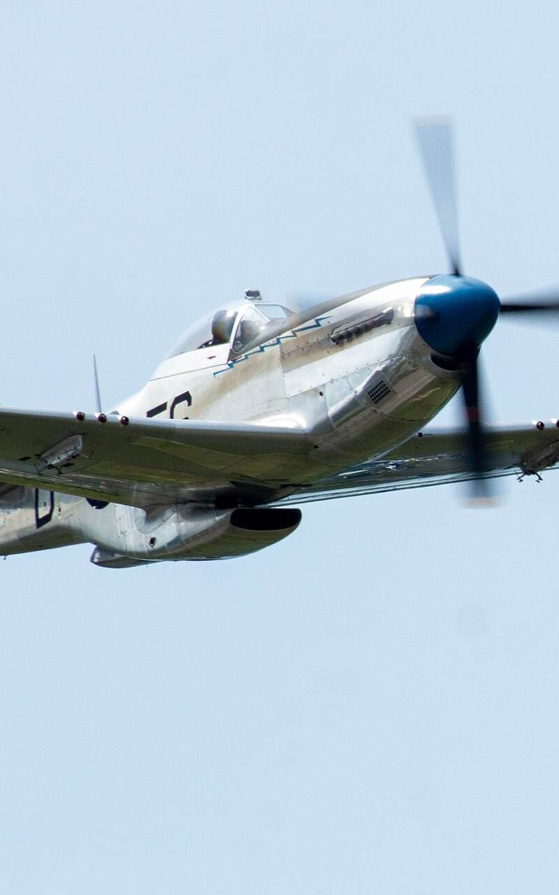 N1751D - Warbird