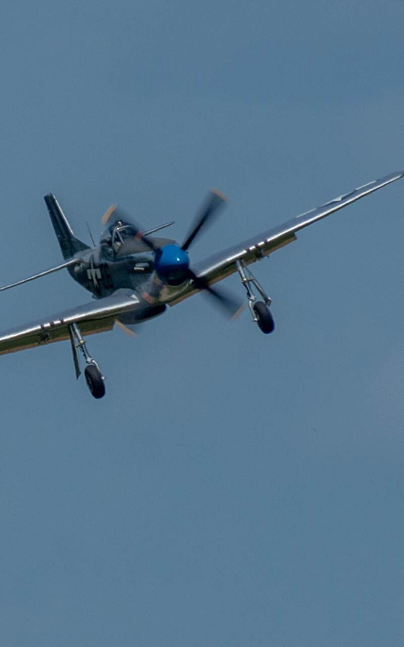 N1751D - Single-engine aircraft