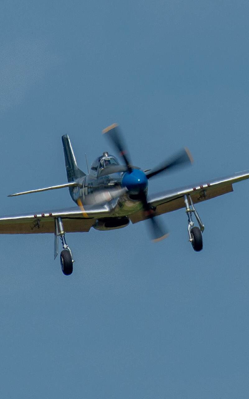 N1751D - Single-engine aircraft