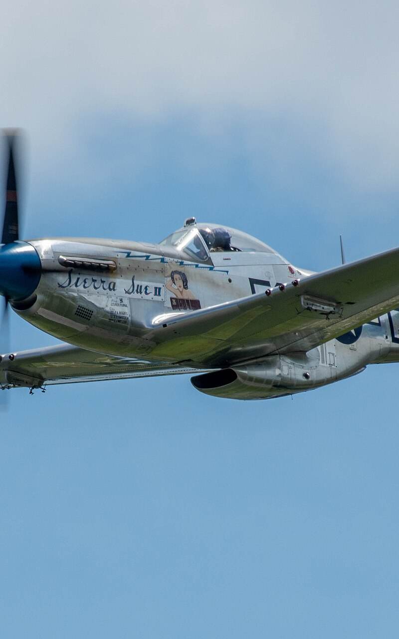 N1751D - Warbird