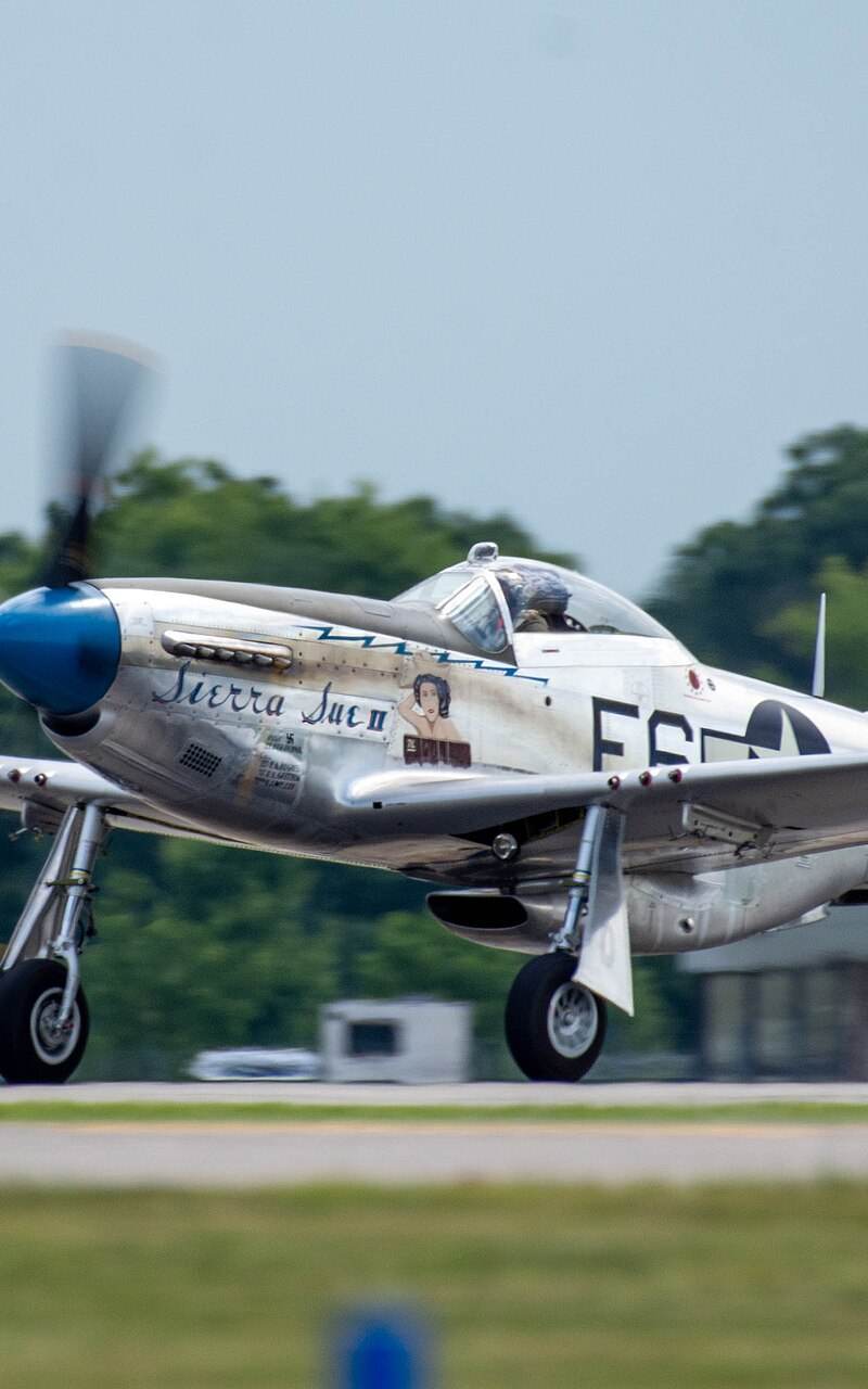 N1751D - Warbird