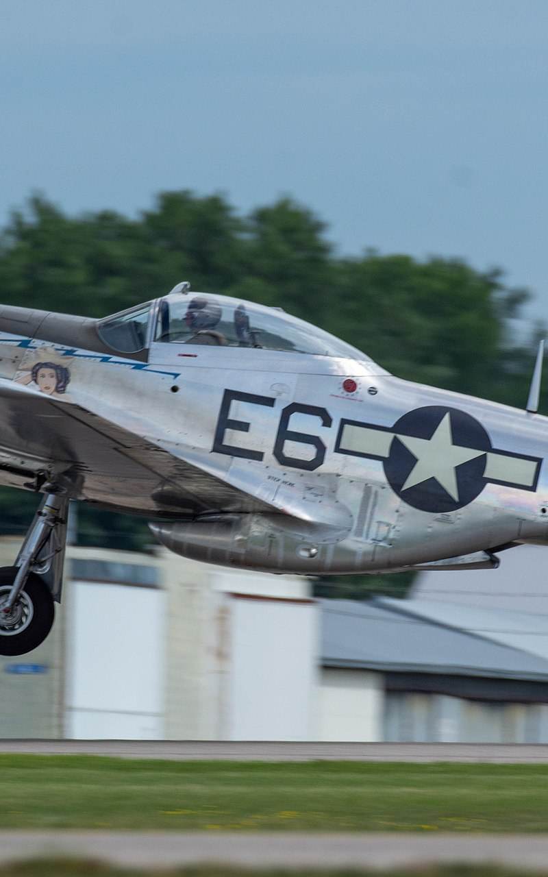 N1751D - Warbird
