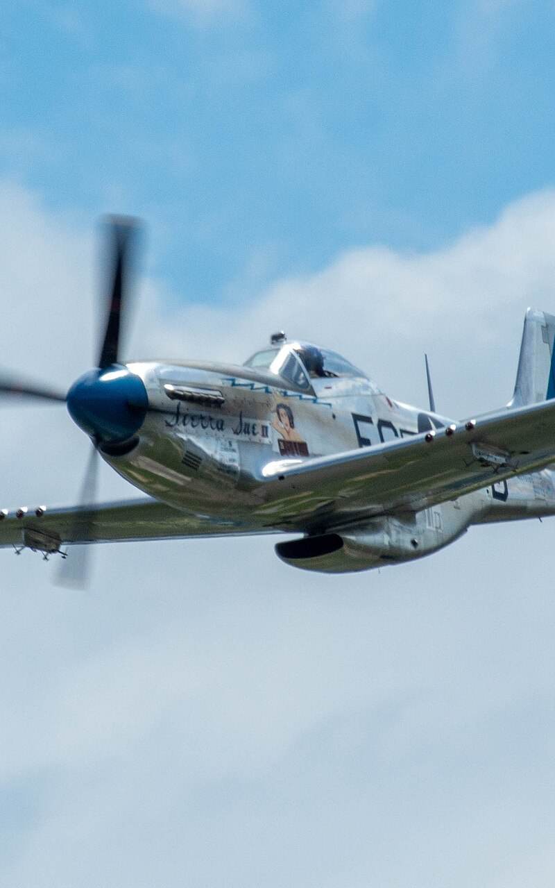 N1751D - Warbird