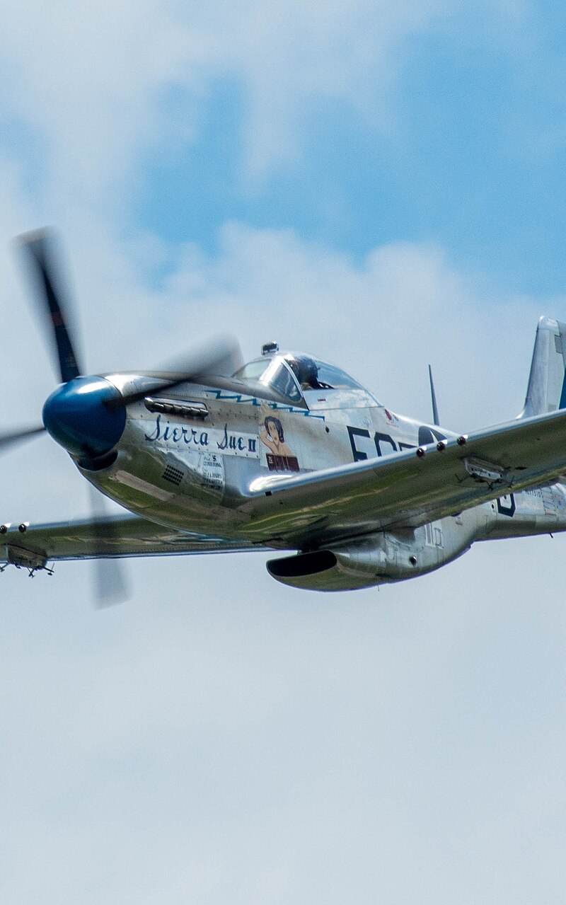 N1751D - Warbird