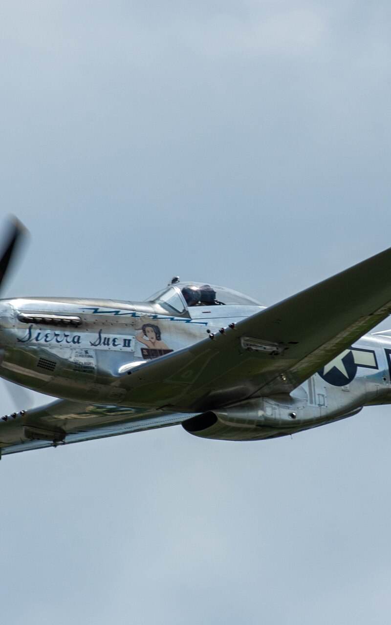N1751D - Single-engine aircraft