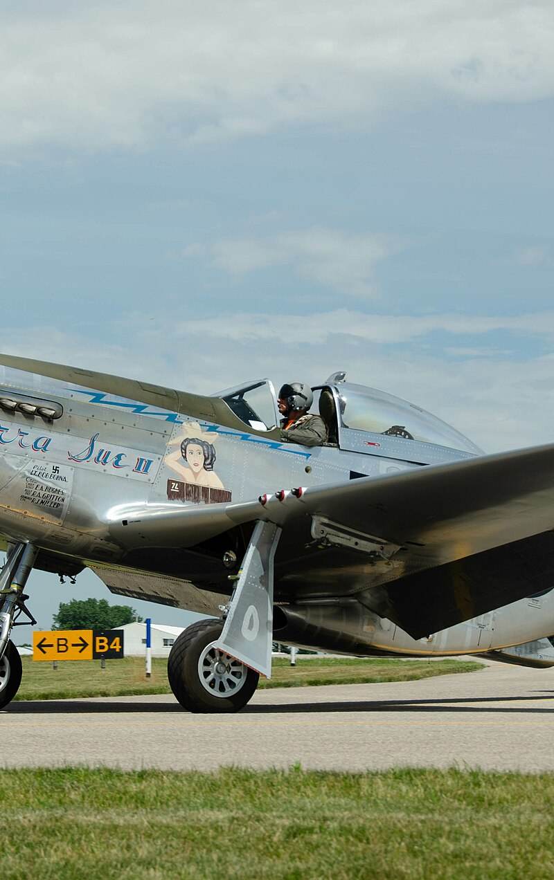 N1751D - Single-engine aircraft