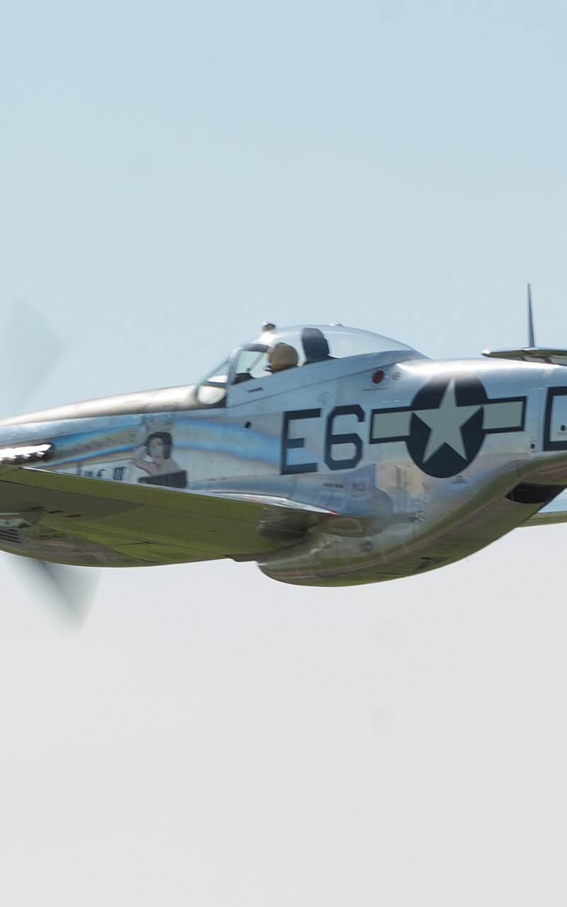 N1751D - Warbird