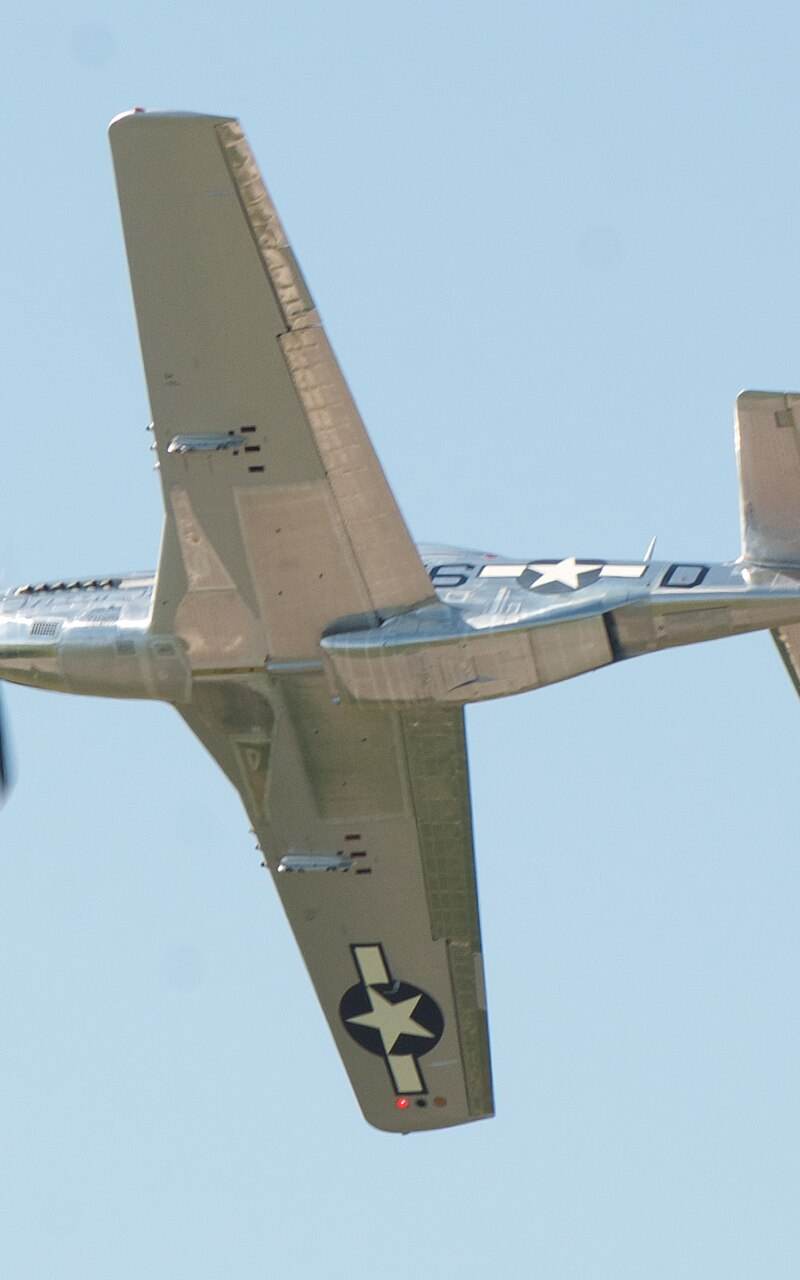 N1751D - Warbird