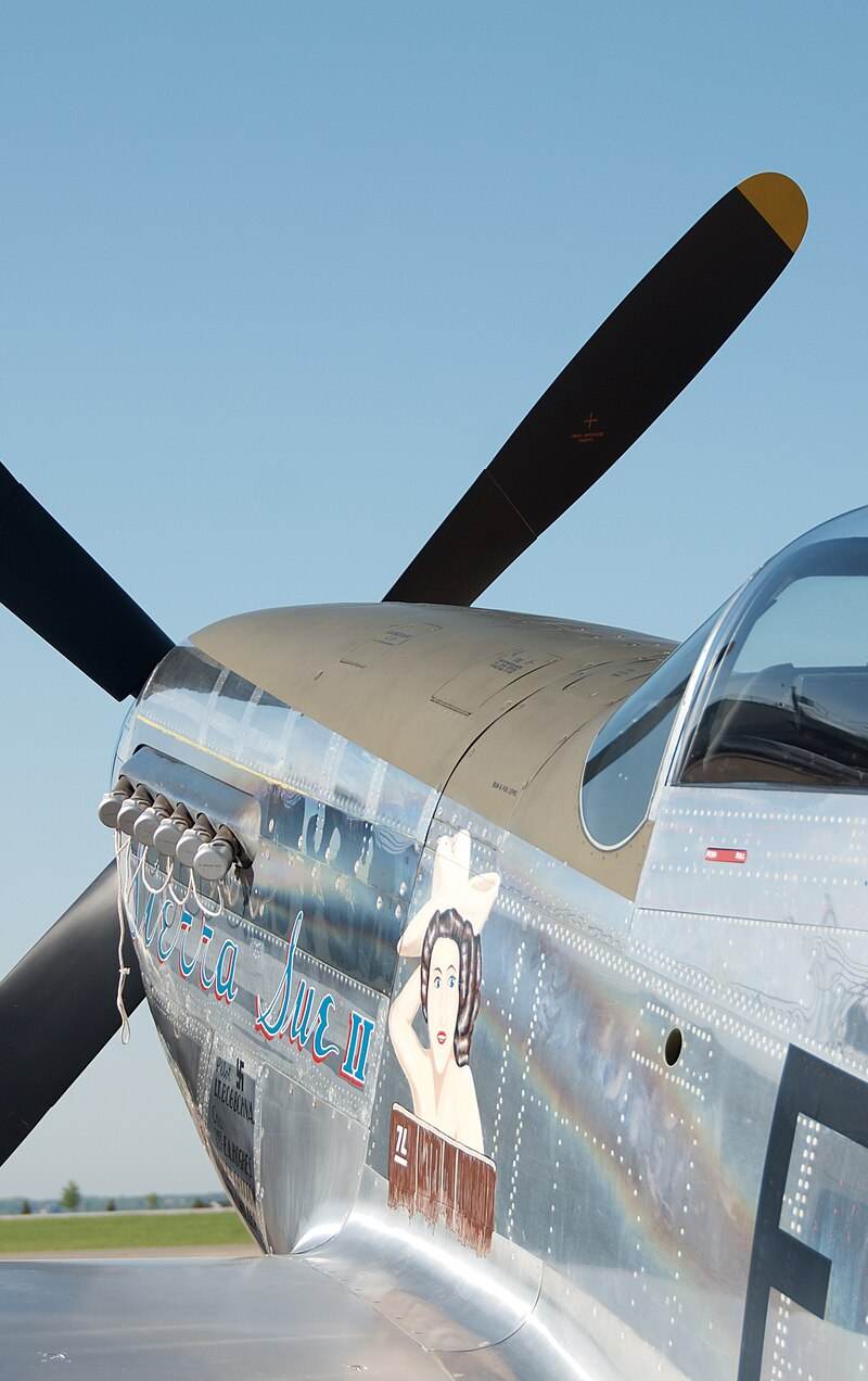 N1751D - Warbird