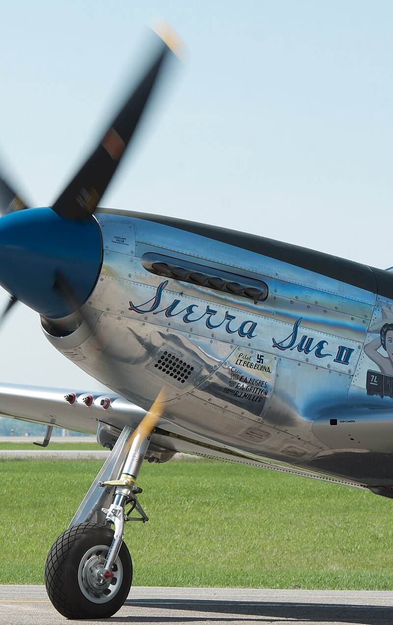 N1751D - Warbird