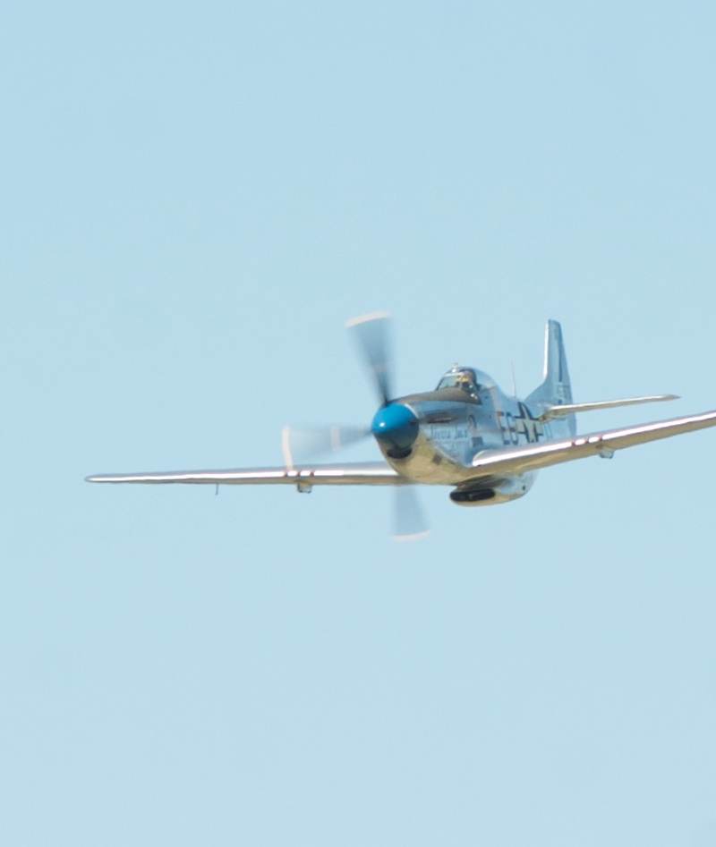 N1751D - Warbird