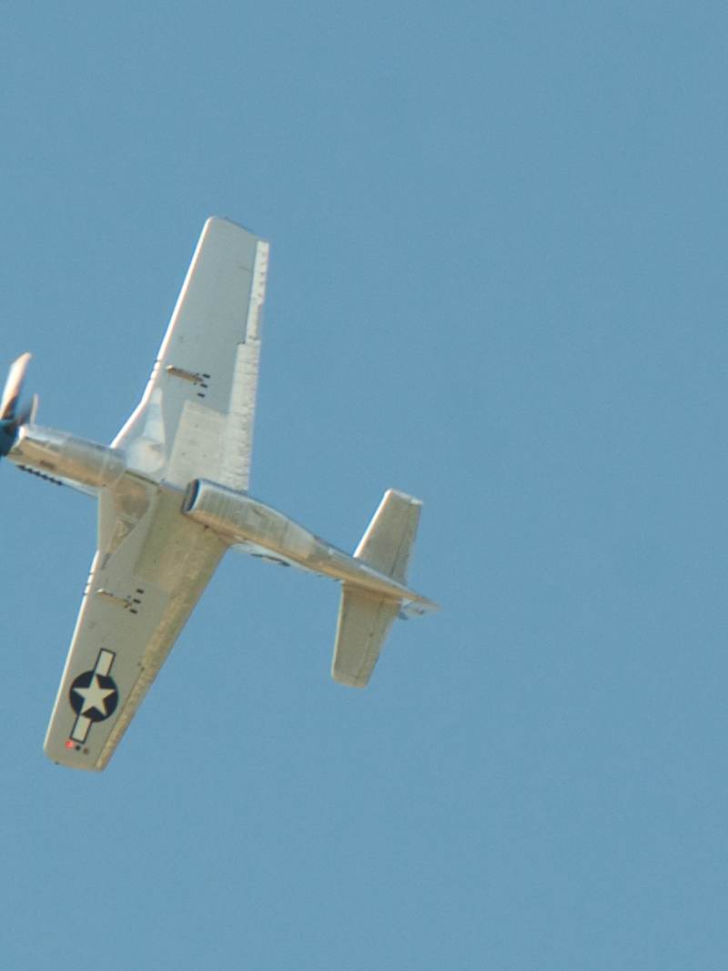 N1751D - Warbird