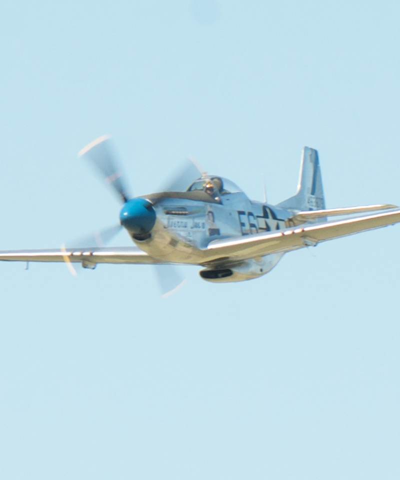 N1751D - Warbird