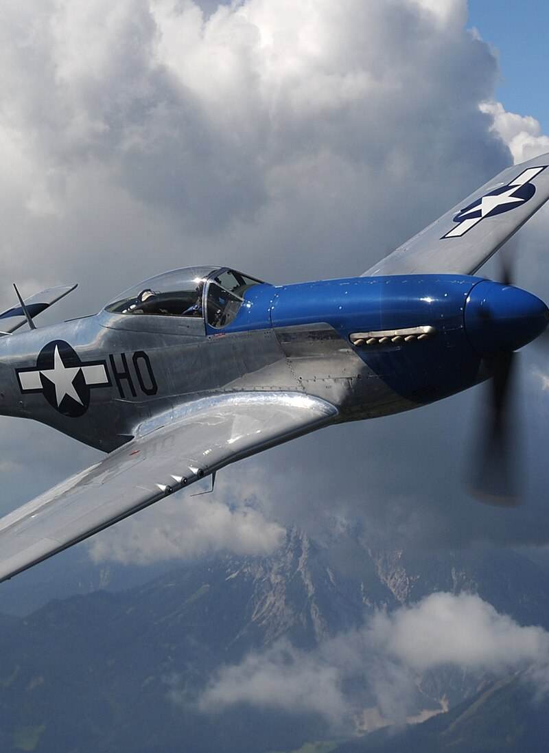  - Warbird