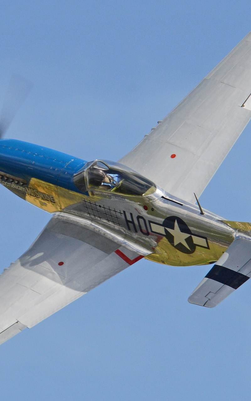  - Warbird