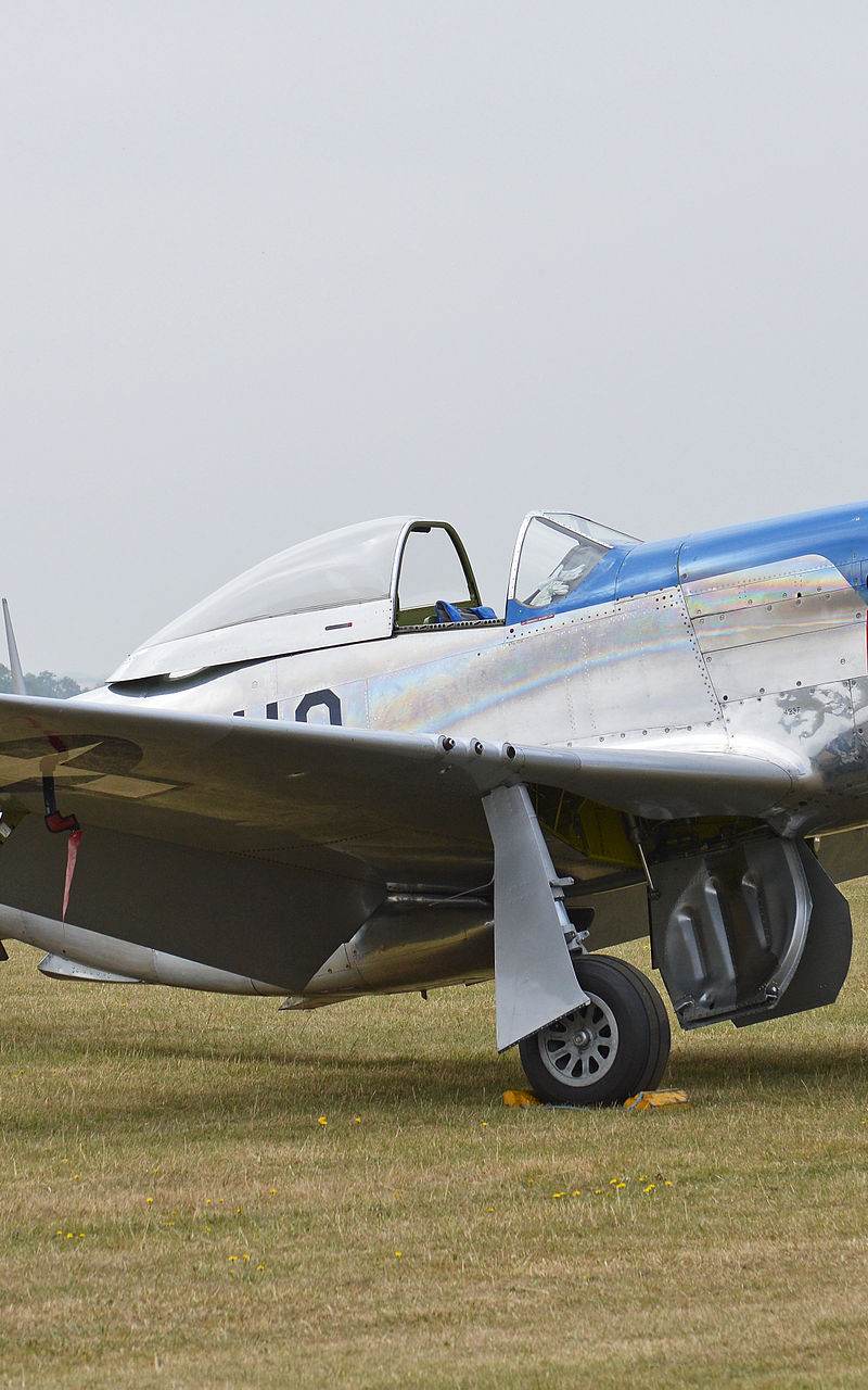  - Warbird