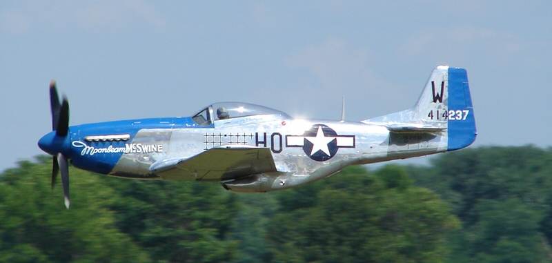  - Warbird