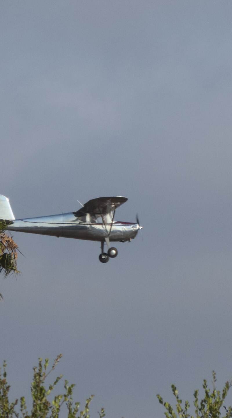 N2293N - Single-engine aircraft