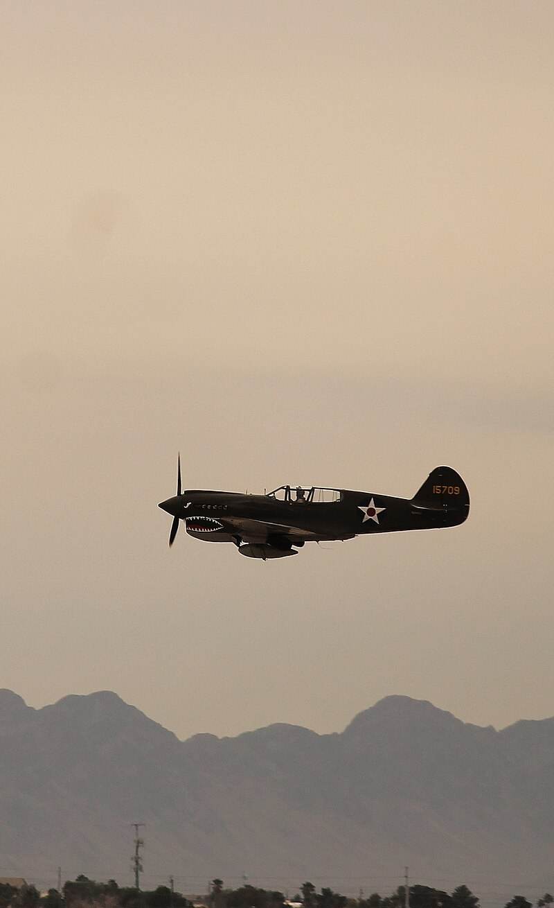N2416X - Warbird
