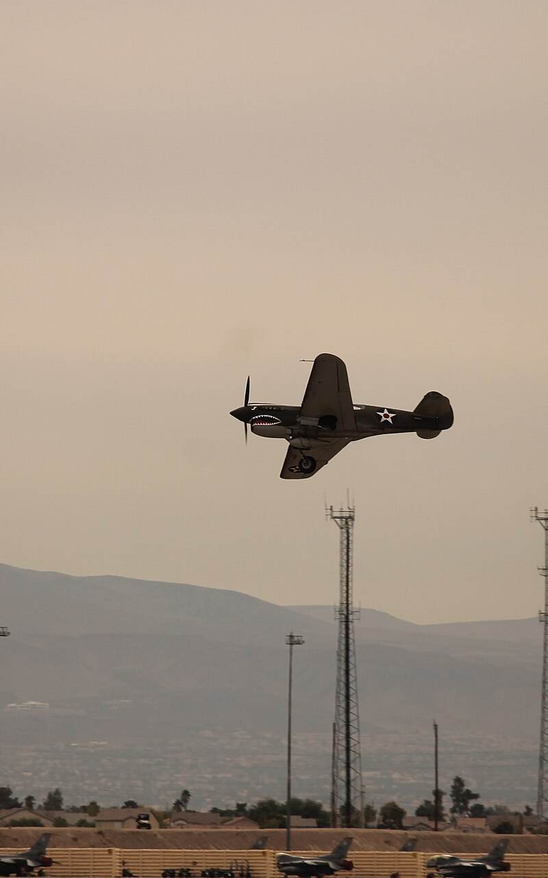 N2416X - Warbird
