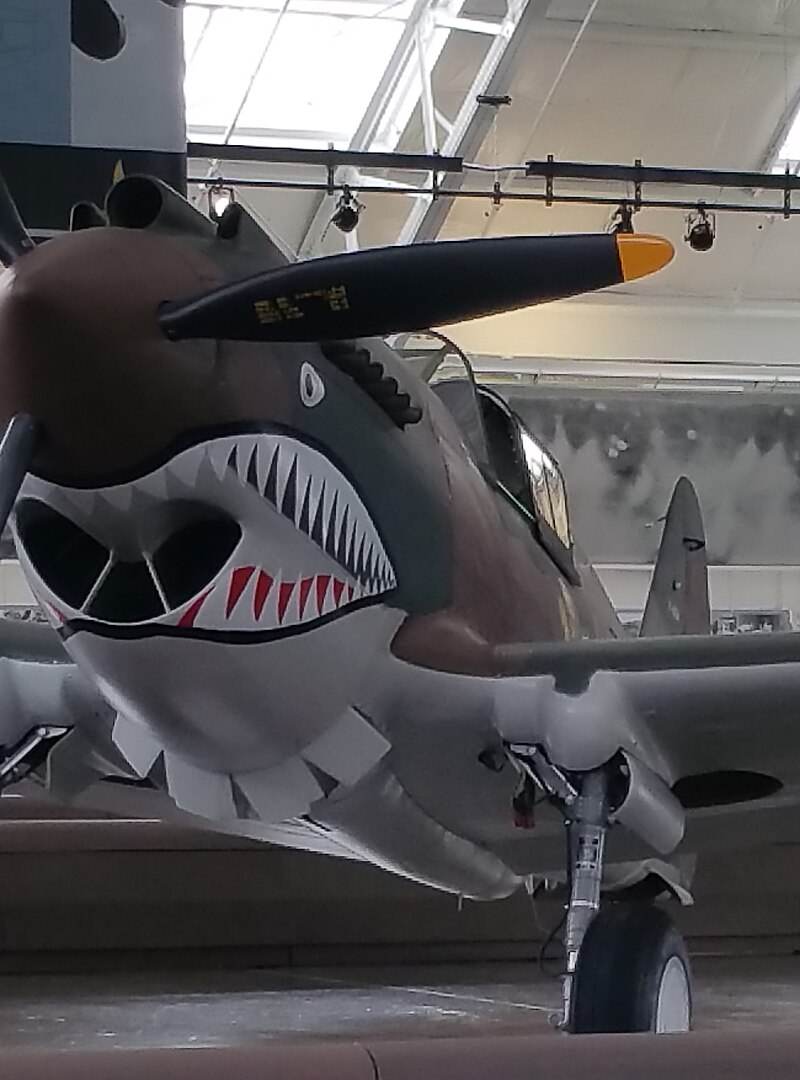  - Warbird