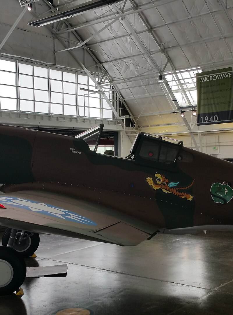  - Warbird