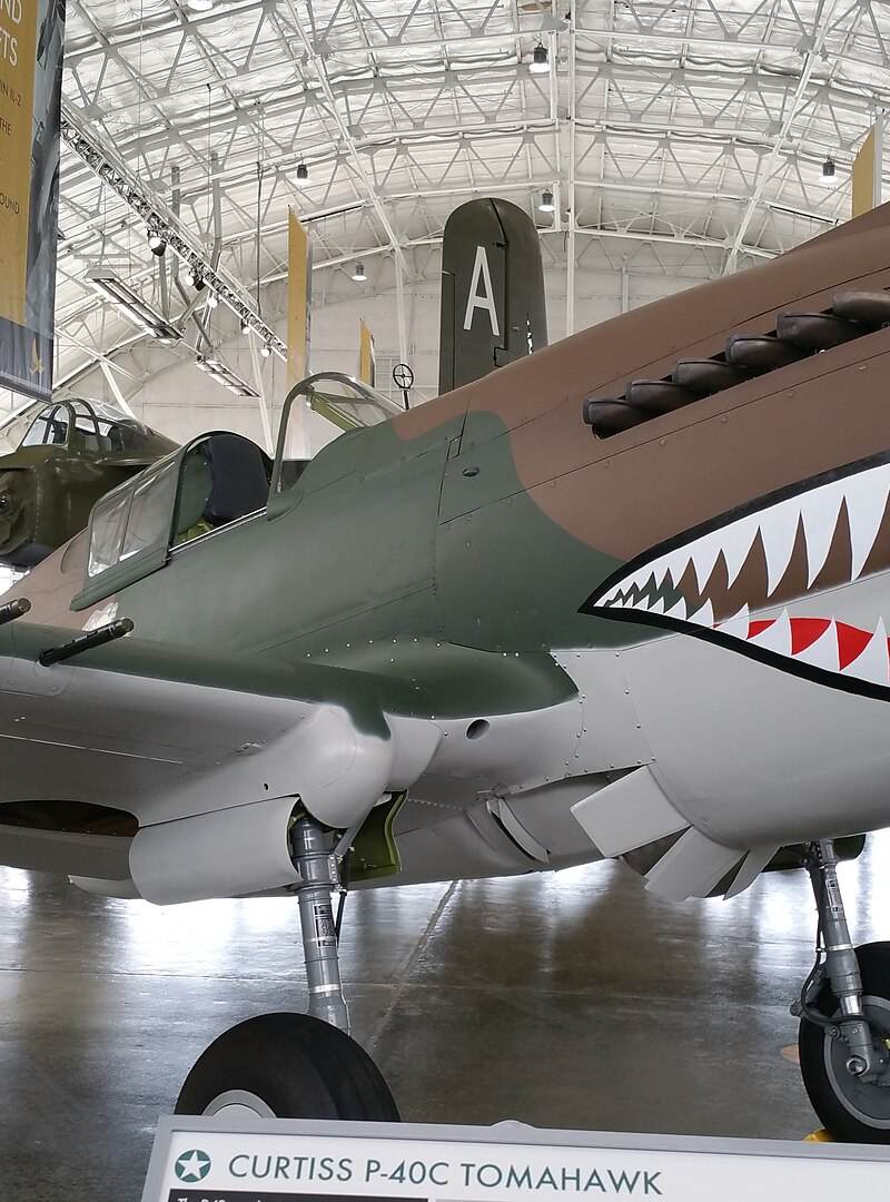  - Warbird