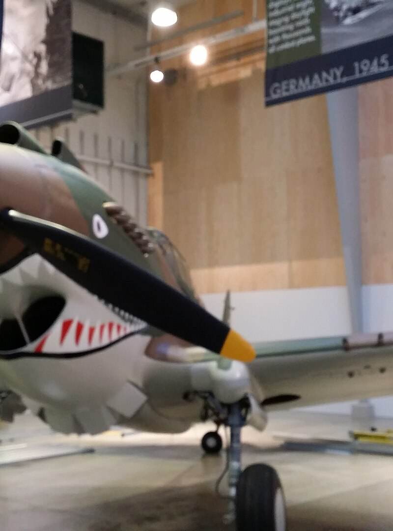  - Warbird