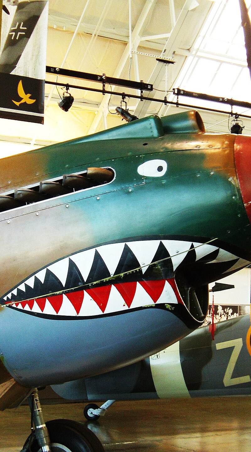  - Warbird
